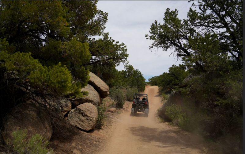 Side-by-side UTV riding through a rocky, tree-lined Colorado trail
